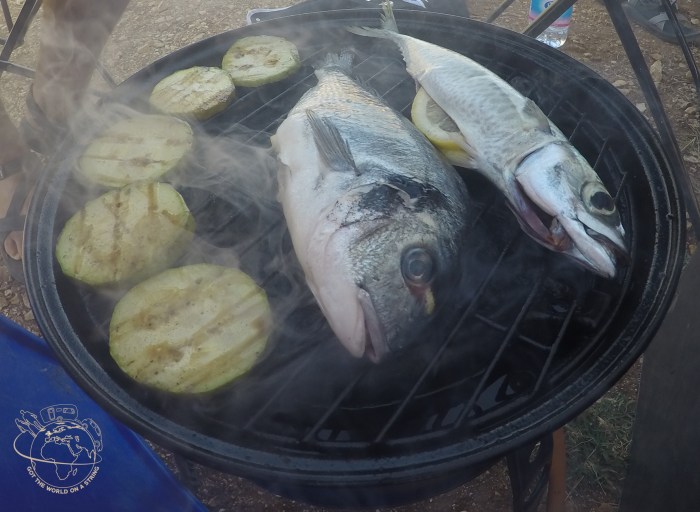 DCIM100GOPROGOPR2520.